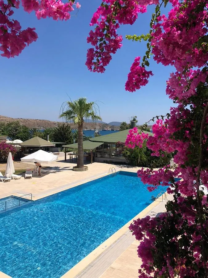 Gumbet Cove Hotel 2*,